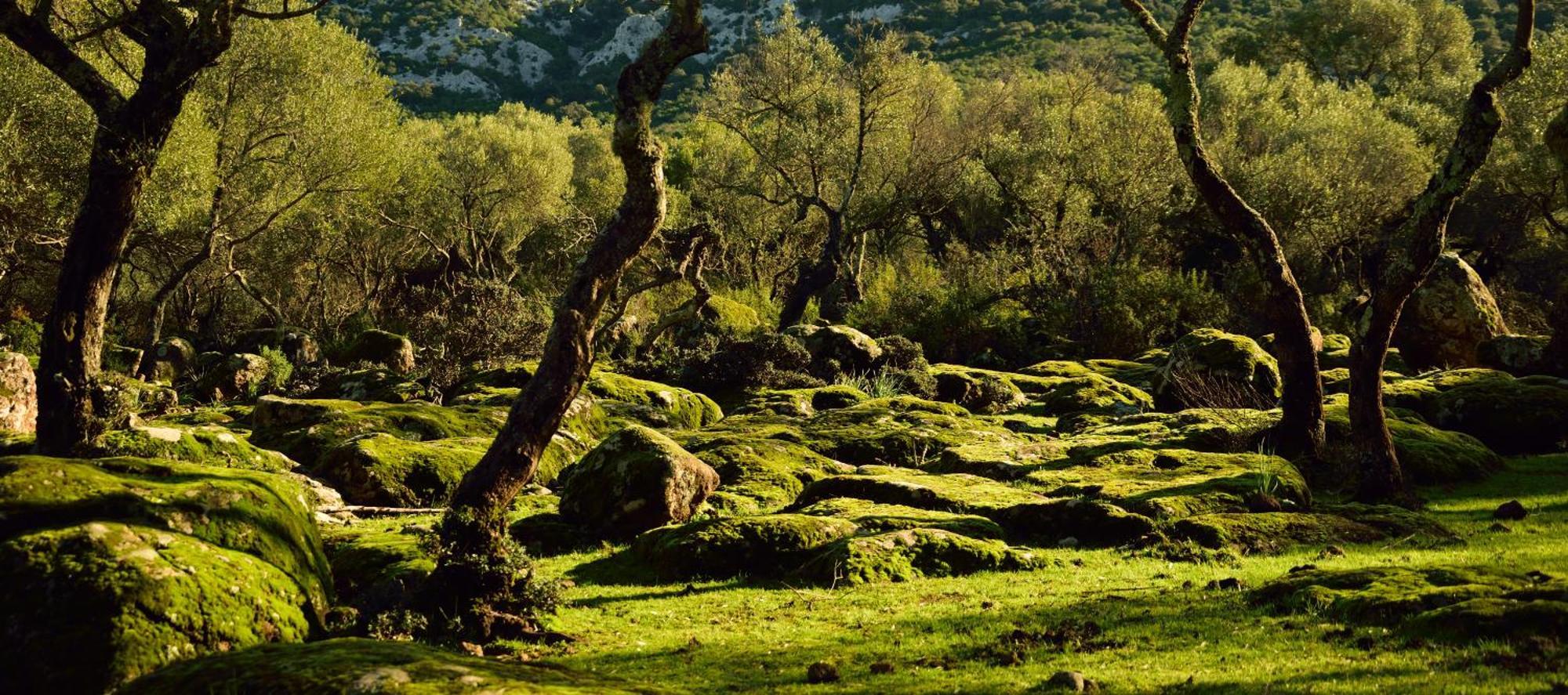 Dommu Livia Ξενοδοχείο Lotzorai Εξωτερικό φωτογραφία